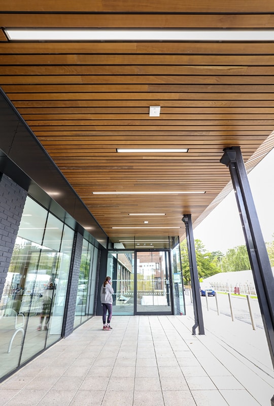 wood ceilings