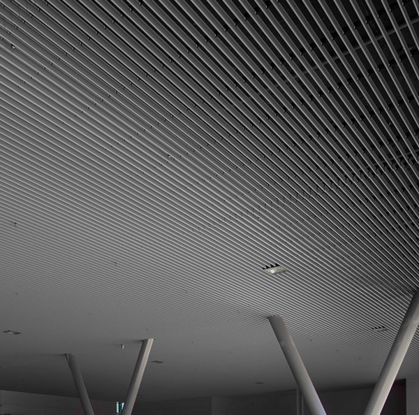 Exterior Open Ceilings