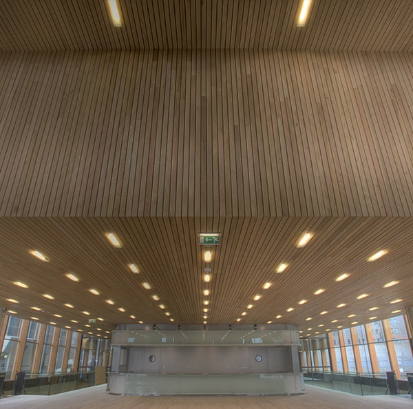 EXTERIOR WOOD CEILINGS