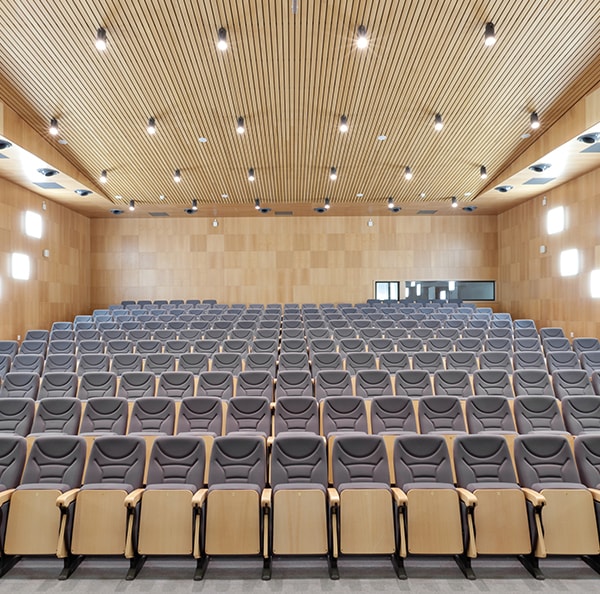 Techos de madera para interiores